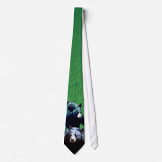 Corbata Lazo norteamericano del oso negro