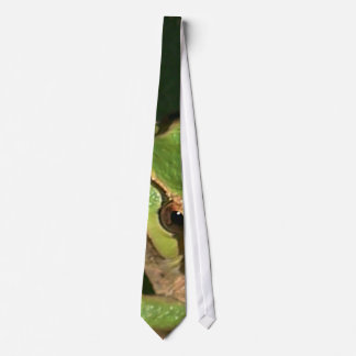 Corbata Lazo verde de la rana arbórea