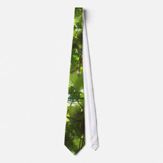 Corbata Lazo verde de las uvas