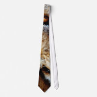 Lazos del ojo de los leones