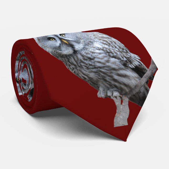 Corbata Lechuza gris grande (Enrollado)