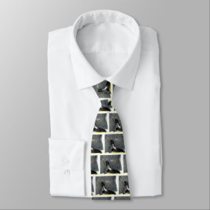 Corbata Leones marinos