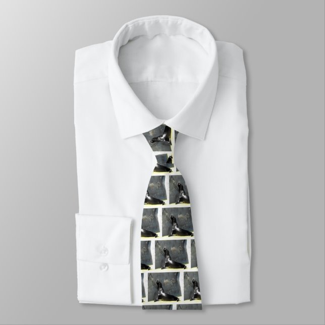 Corbata Leones marinos (Atado)