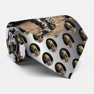 Corbata Leopard on the Prowl