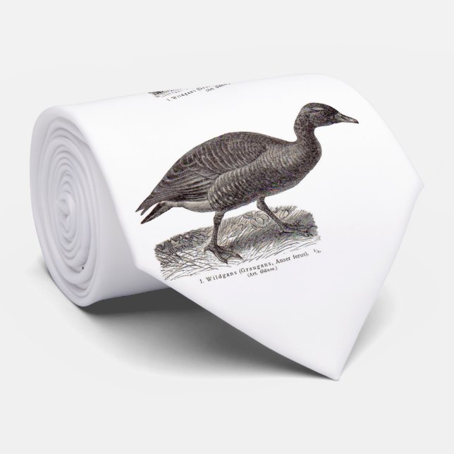 Corbata letra antigua alemana de la revista salvaje Wildga (Enrollado)