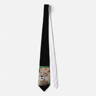 Corbata Lion_2015_0801