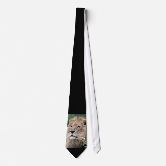 Corbata Lion_2015_0801 (Anverso)