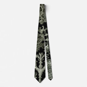 Corbata Liquen por Ernst Haeckel, Plantas Naturales Antigu