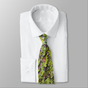 Corbata Liquen Verde en Corteza de Árbol Naturaleza