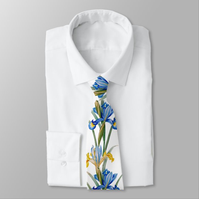 Corbata Lirio español por Pierre-Joseph Redouté (Atado)