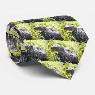 Corbata Lizard de lengua azul australiana joven,
