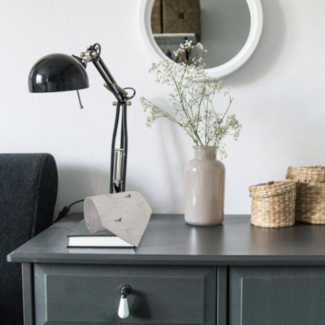 Corbata Lizard del desierto con foto gris en la acera (Subido por el creador)