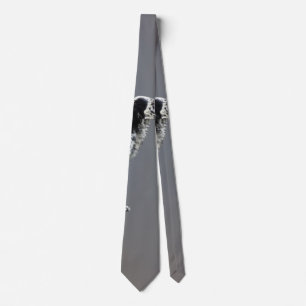 Corbata LLewellin Setter