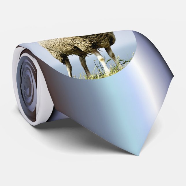 Corbata Lobo en ropa de oveja (Enrollado)