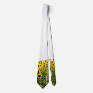 Corbata Los girasoles en un campo