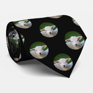 Corbata Lunar adorable del cordero