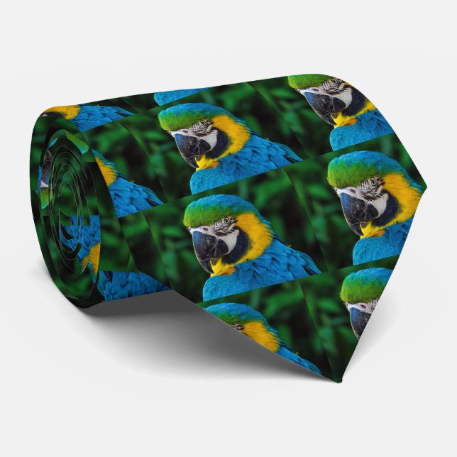 Corbata Macao azul y amarillo (Enrollado)