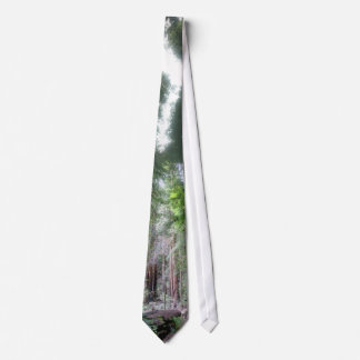 Corbata Maderas de Miur