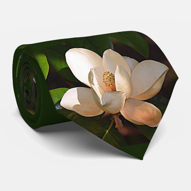 Corbata Magnolia meridional de Mississippi, Luisiana (Enrollado)