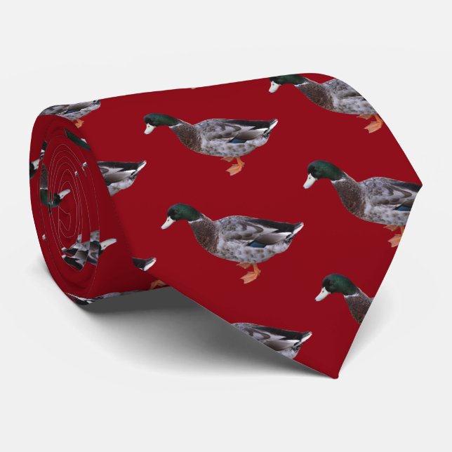 Corbata Mallard (Enrollado)