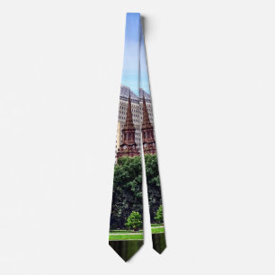 Corbata Mamáes de Boston - Vista desde el jardín público d