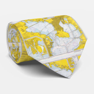 Corbata Mapa de época de Tampa Bay FL (1973)