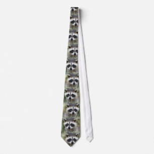 Corbata ¡Mapaches, mapaches, mapaches!