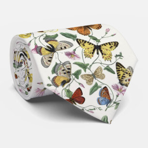 Corbata Mariposa y polilla por Paul Gervais