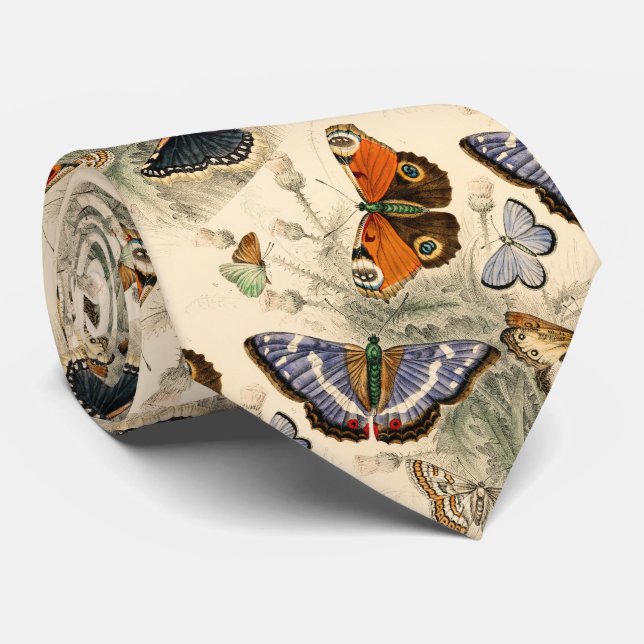 Corbata Mariposas antiguas de Oliver Goldsmith (Enrollado)