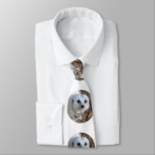 Corbata Meerkat Blanco, Lejana Silky Mens.