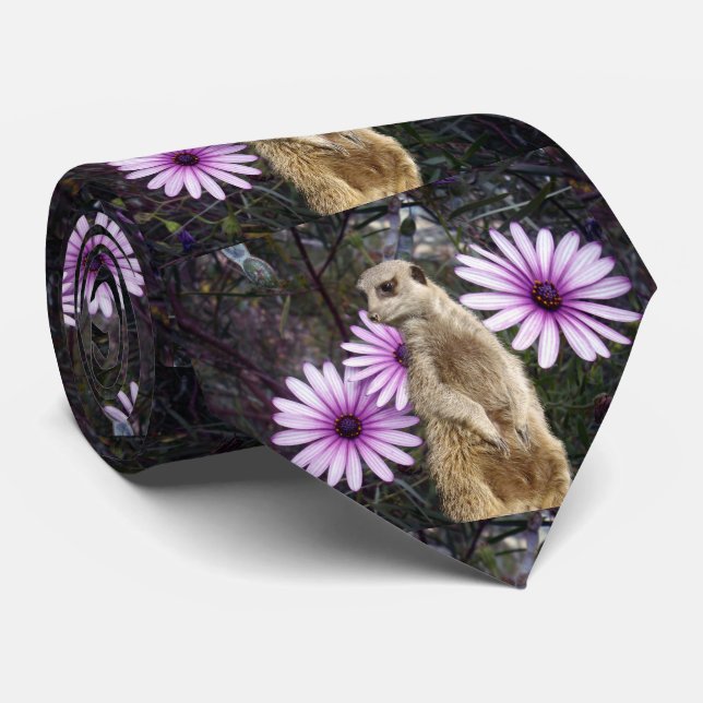 Corbata Meerkat Y Daises, (Enrollado)