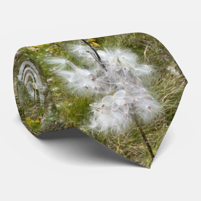 Corbata Milkweed | Mariposa | (Enrollado)