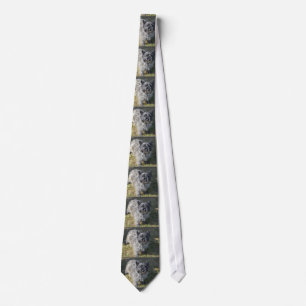 Corbata Mojón Terrier negro