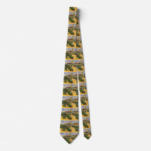 Corbata Molino de Alphonse Daudet en Fontevielle de Van Go