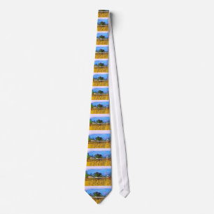 CORBATA MONTAÑAS