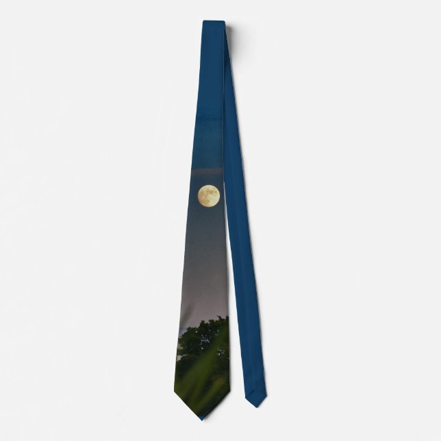 Corbata Moon Tie (Anverso)
