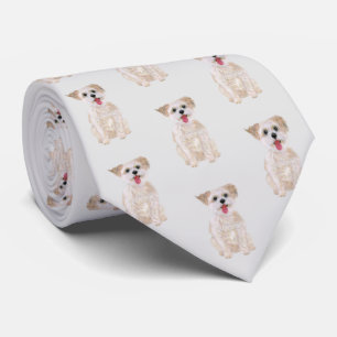 Corbata Morkie
