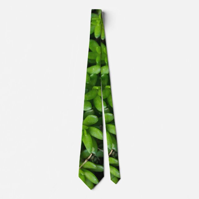Corbata Moss Abstract Neck Tie (Anverso)