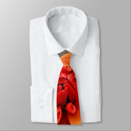 Corbata Naranja y gris
