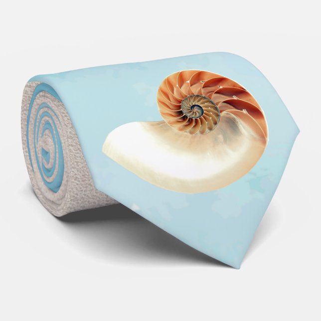 Corbata Nautilus Seashell and Sand (Enrollado)