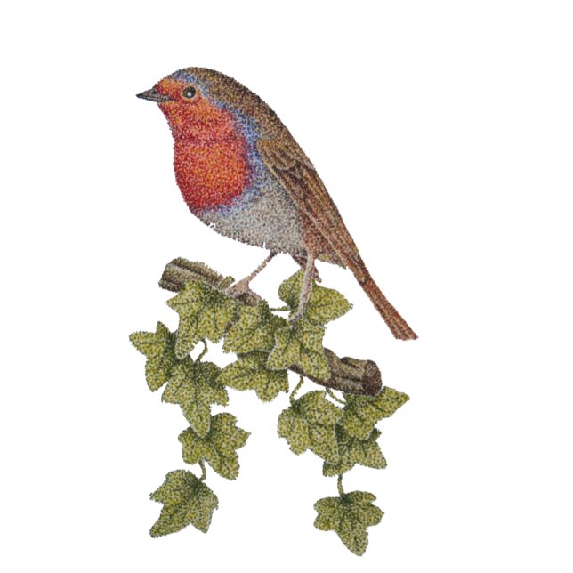 Corbata Navidades robin y hiedra deja ilustracion (Subido por el creador)