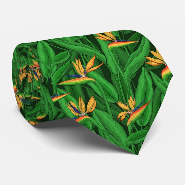 Corbata Night bird of paradise garden (Enrollado)