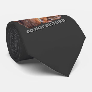 Corbata No Molestar (Gris Oscuro)