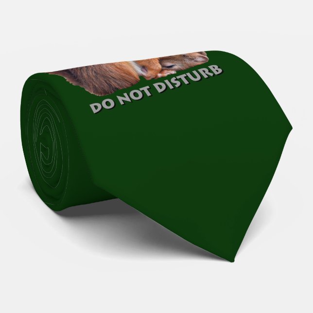 Corbata No Molestar (Verde Oscuro) (Enrollado)