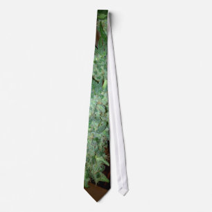Corbata normtie