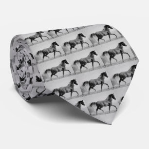 Corbata Obras de arte de caballos