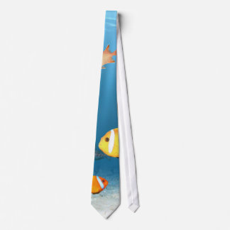 Corbata Océanos De Pescado