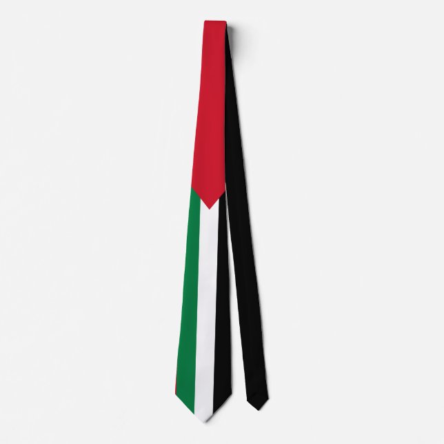 Corbata oficialmente bandera del Estado de Palestina (Anverso)