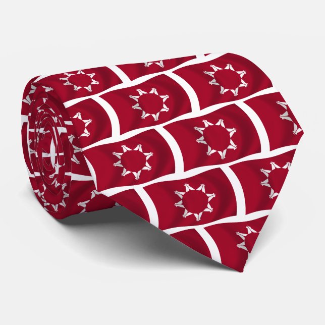 Corbata Oglala Lakota Flag Tie (Enrollado)