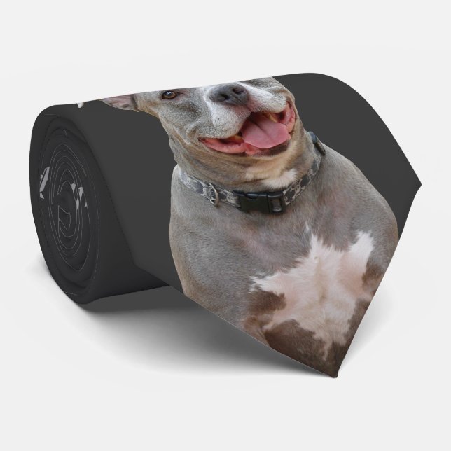 Corbata Oído de Pitbull a Necktie sonriente (Enrollado)